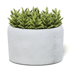 Plantinstonepot